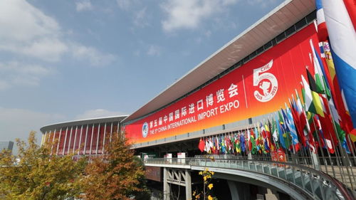 第五届进博会首照首证颁出,这家参展商落户青浦西虹桥商务区