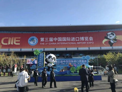 进博会“新星”闪耀 达闼科技云端机器人与博力西科技携手，打造全方位智能服务新标杆